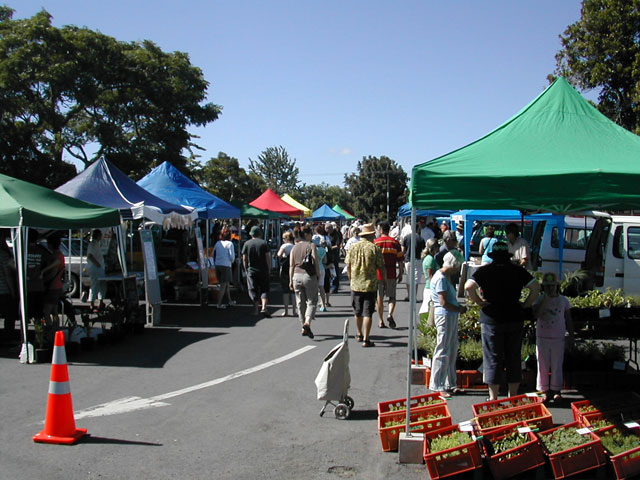 Sunday Farmers market