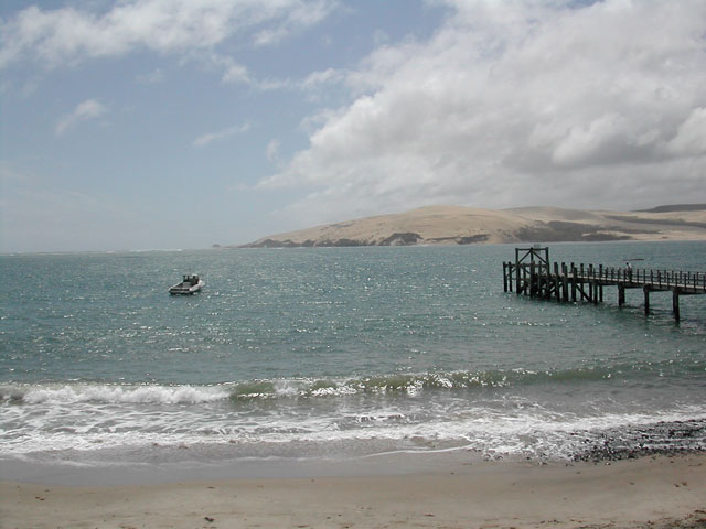Hokianga heads sand dunes