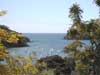 Mangonui harbour entrance