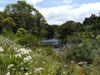 Lower Kerikeri river in tranquil mood.