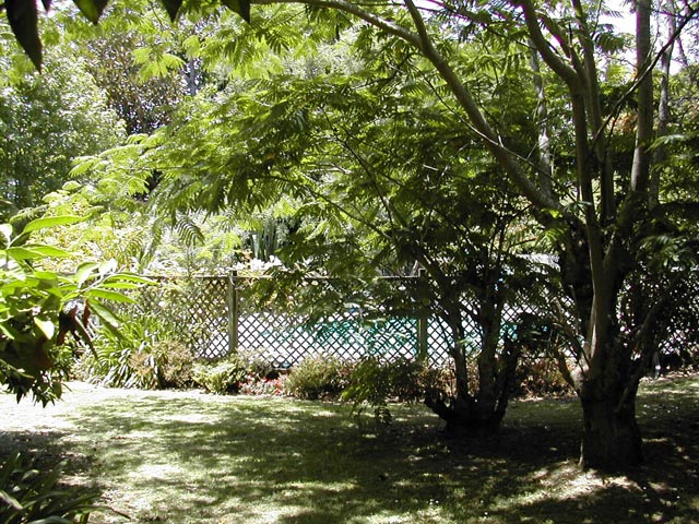 Pool view from cottage