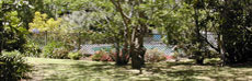 View of pool from cottage.